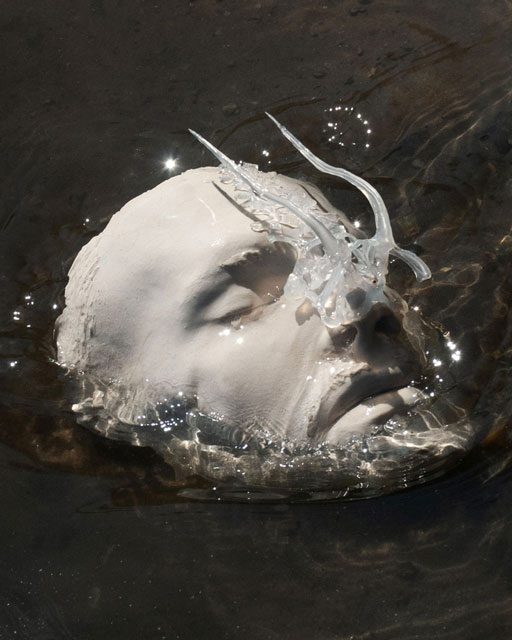 Self portrait