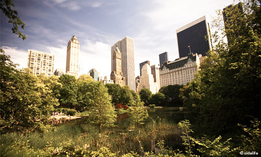 Sketching Nature in Central Park - The 92nd Street Y, New York
